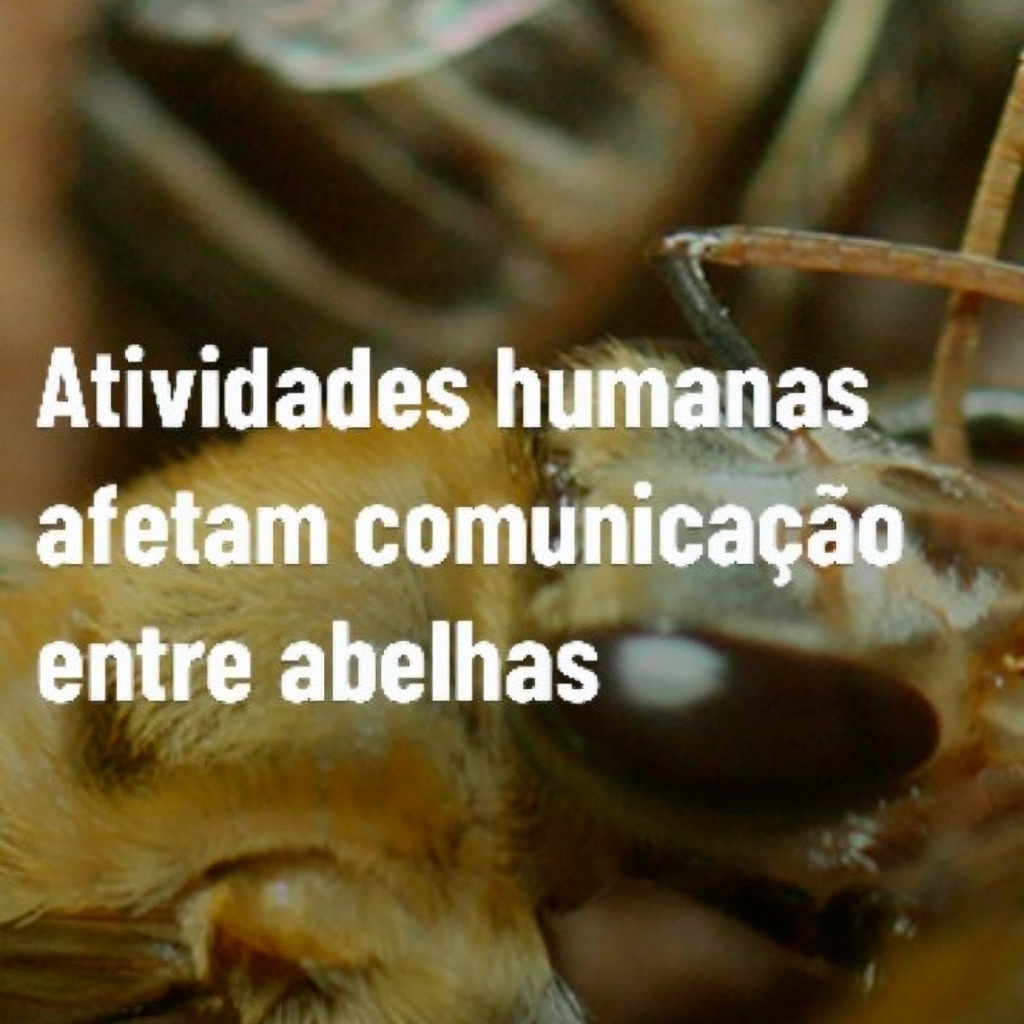 Vídeo – Instagram/TikTok/Youtube