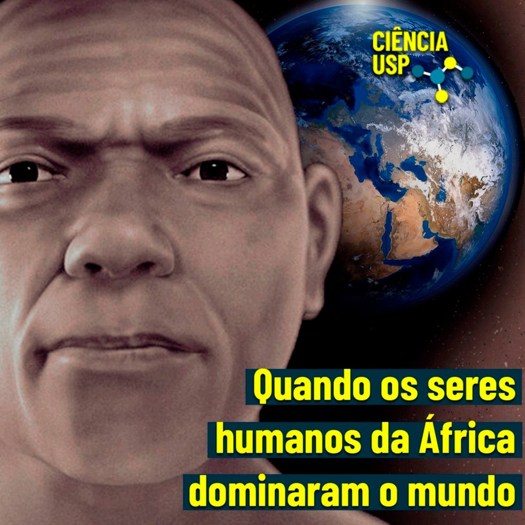 Carrossel – Instagram