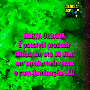 Carrossel – Instagram