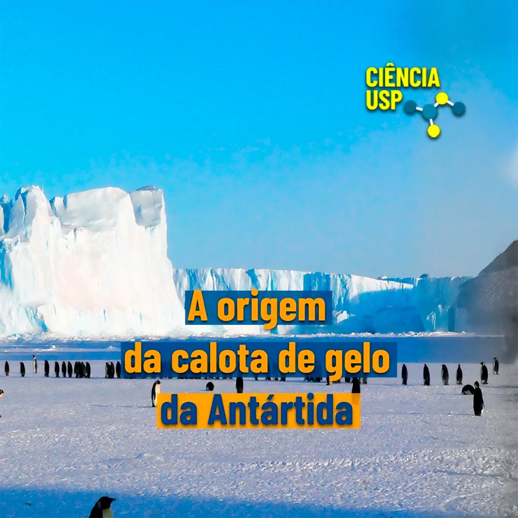 Carrossel – Instagram