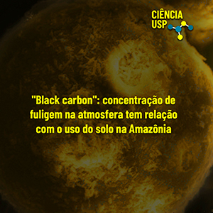 Carrossel – Instagram