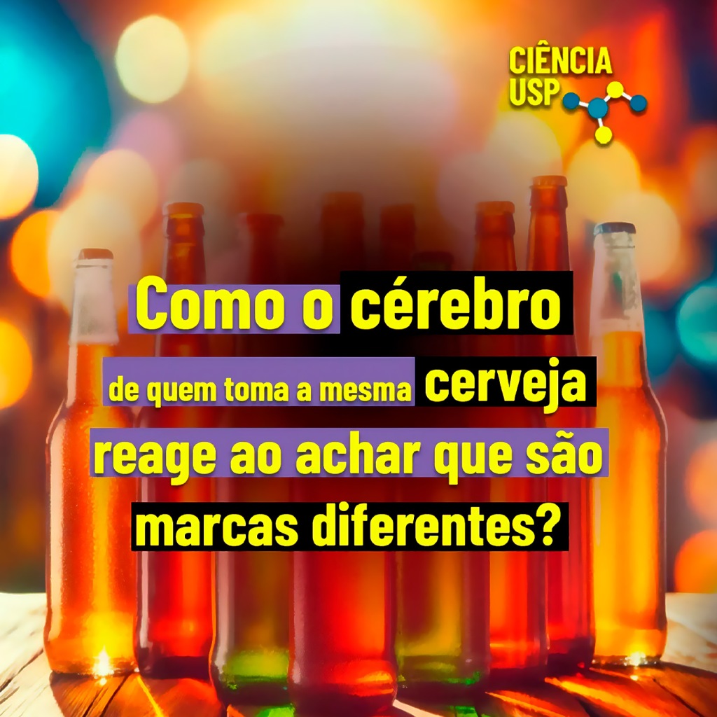 Carrossel – Instagram