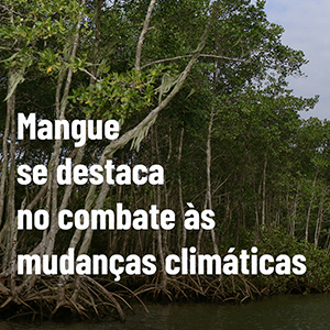 Vídeo – Instagram/TikTok/Youtube