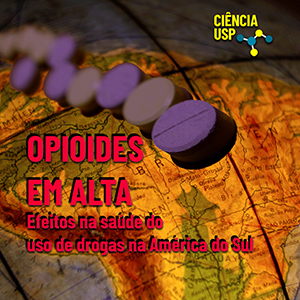 Carrossel – Instagram