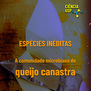 Carrossel – Instagram