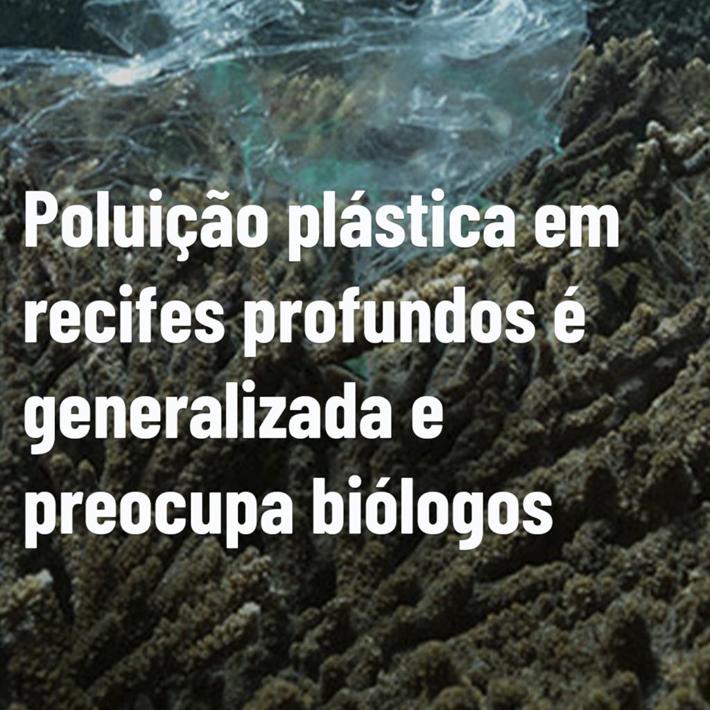 Vídeo – Instagram/TikTok/Youtube