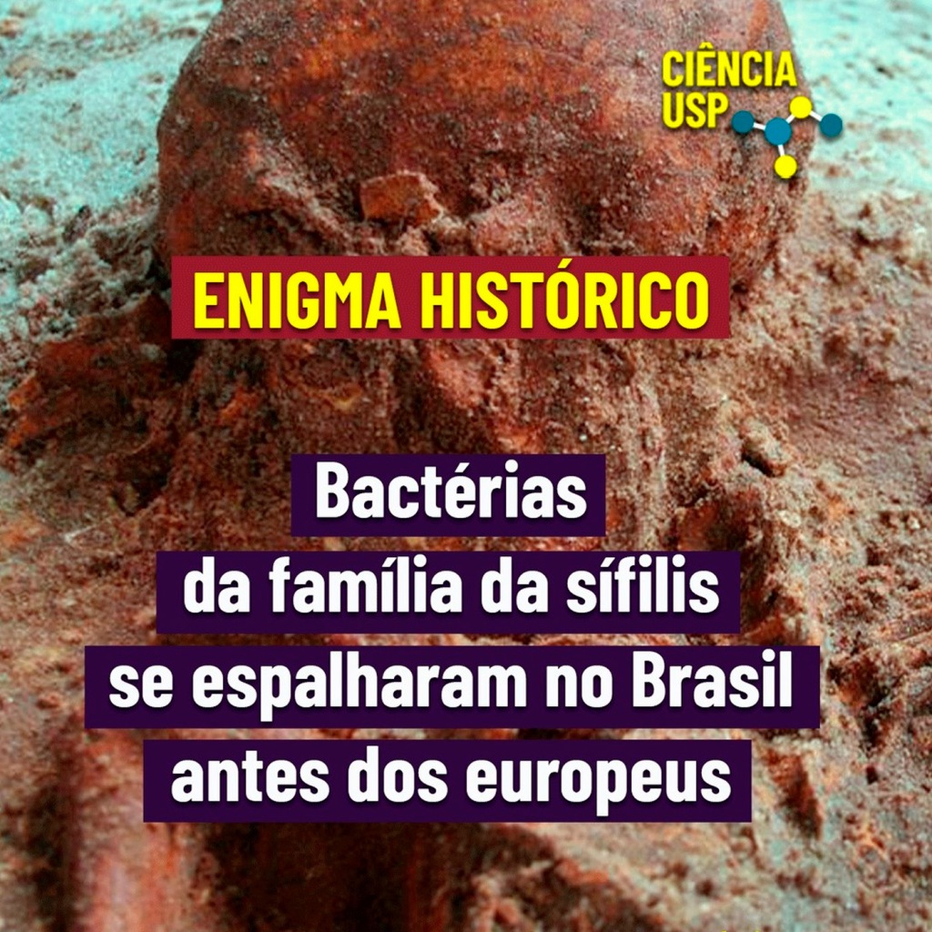 Carrossel – Instagram