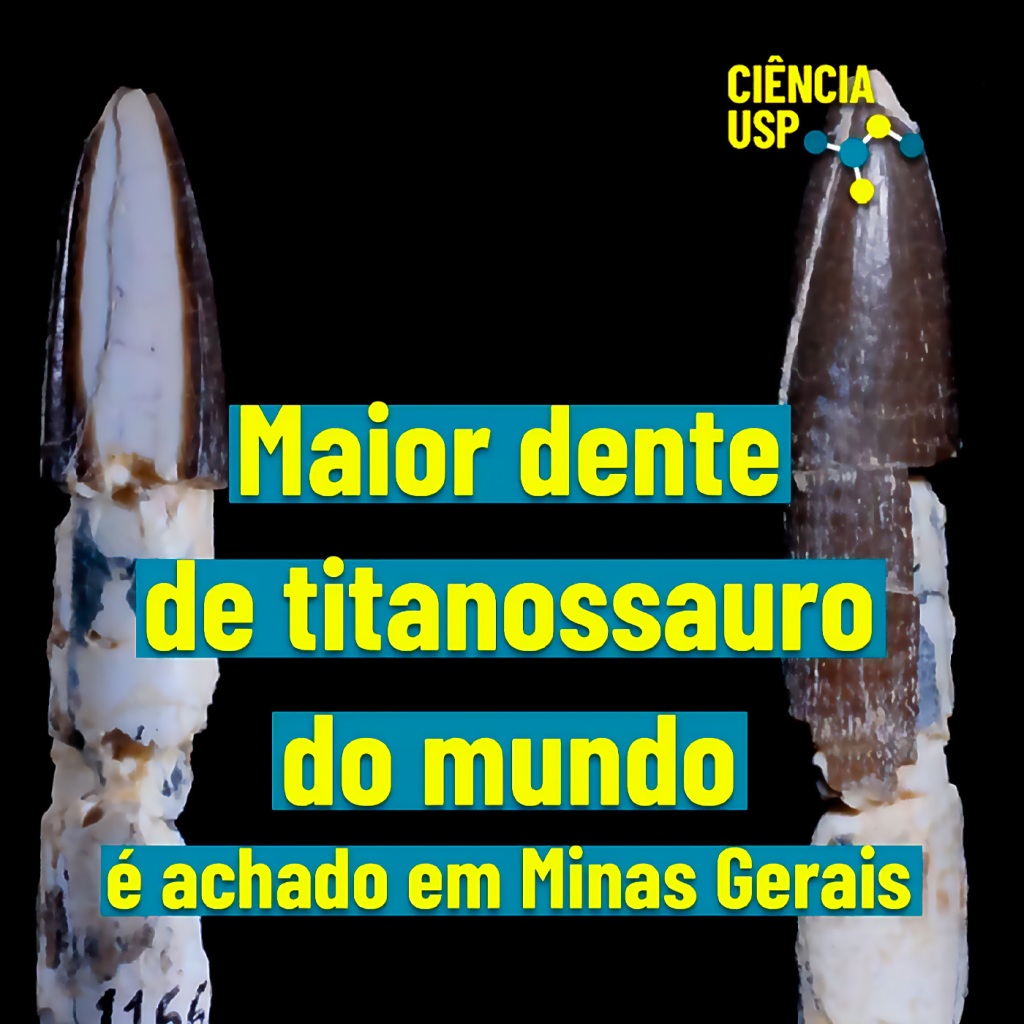 Carrossel – Instagram