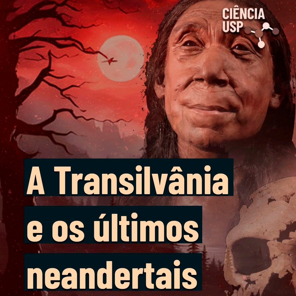 Carrossel – Instagram