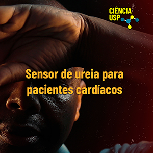 Carrossel – Instagram