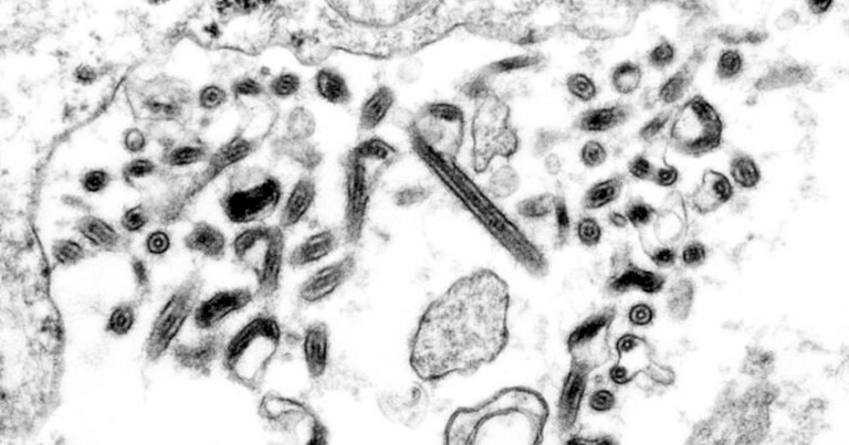 Imagem: Cynthia Goldsmith