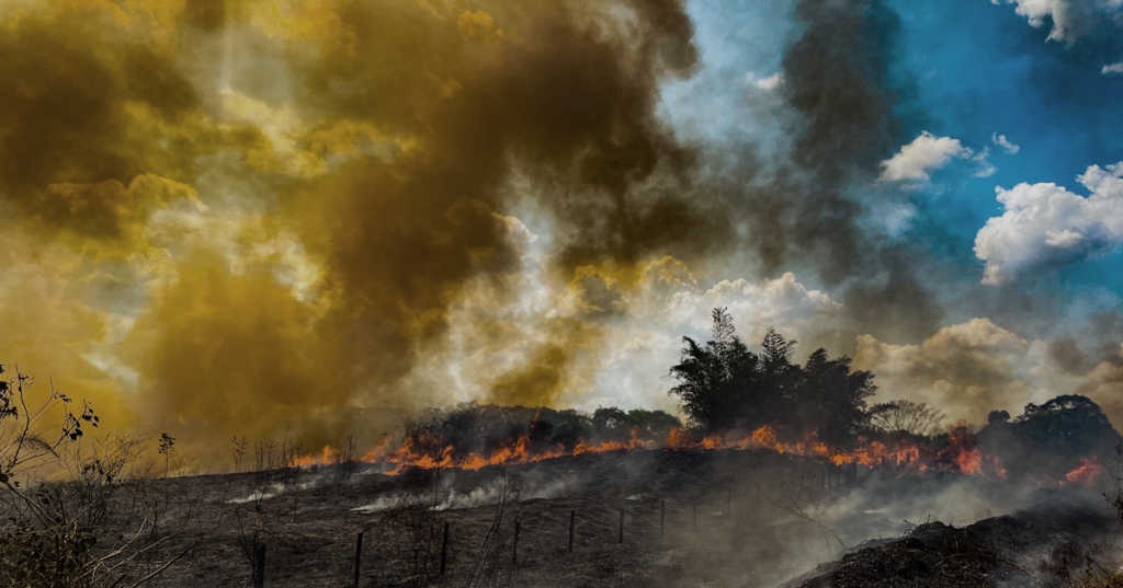 Foto: Sérgio Vale/Amazônia Real