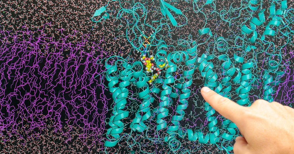 Foto: Cecília Bastos/USP Imagens