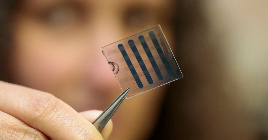 Foto: Marcos Santos/USP Imagens