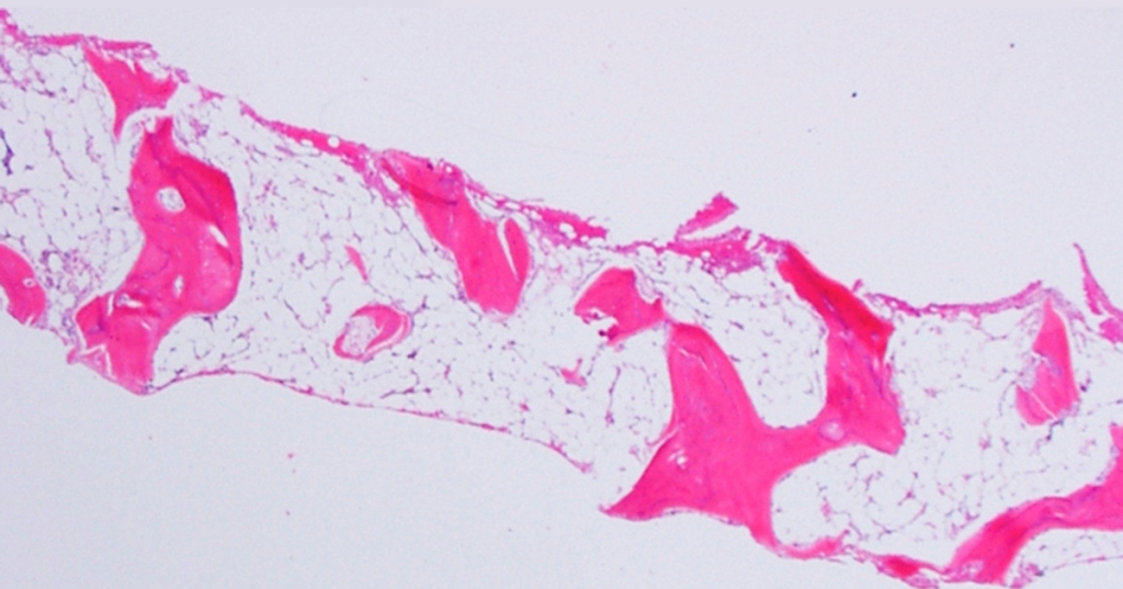 Imagem: Rodrigo Calado