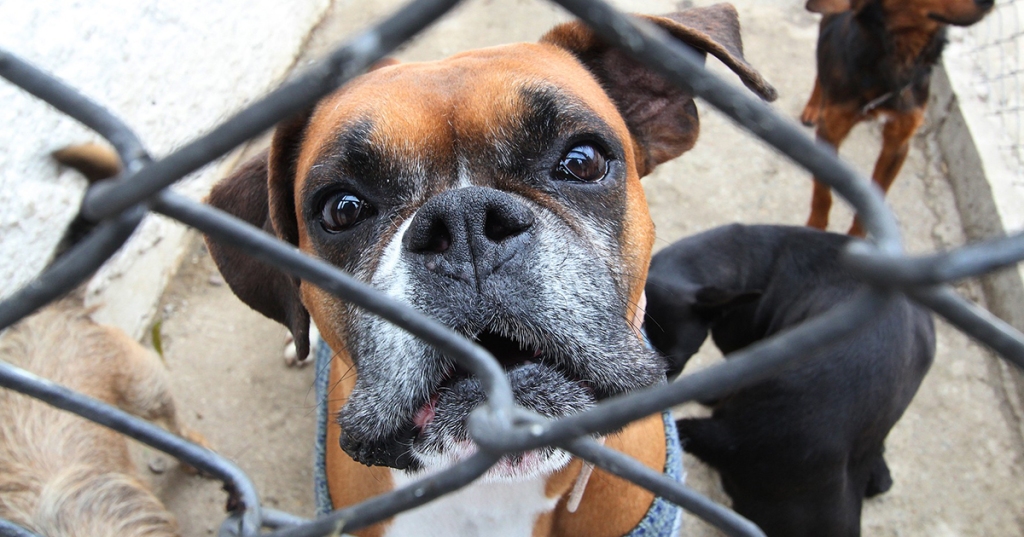 Foto: Marcos Santos/USP Imagens