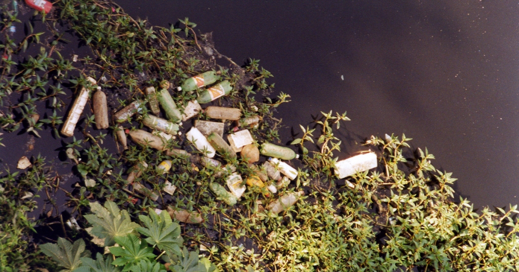 Foto: Cecília Bastos/USP Imagens