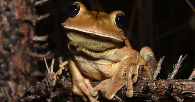 Foto: Marcio Martins