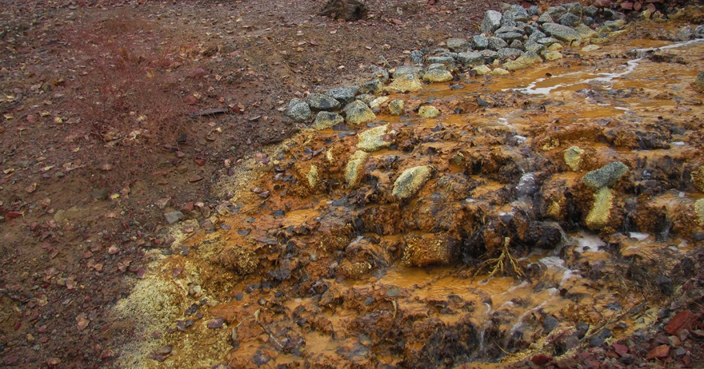 Foto: Joe.nehls/Wikimedia