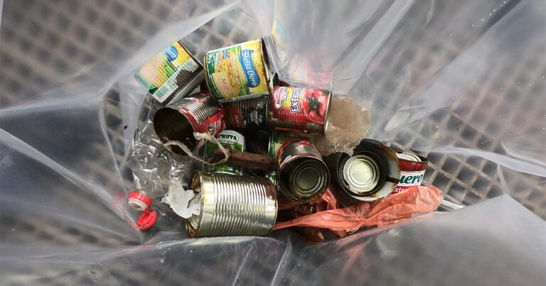 Foto: Marcelo Roberto Souto de Melo